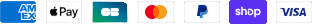 payment